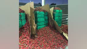 CBP officers seize $2.3 million worth of marijuana inside shipment of jalapeño peppers