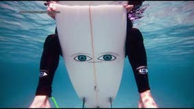 Surfers using 'big eye' stickers on boards to prevent shark attacks