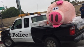 Deputies in California looking for the owner of a massive stuffed pig found abandoned