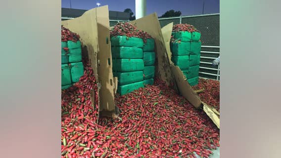 CBP officers seize $2.3 million worth of marijuana inside shipment of jalapeño peppers