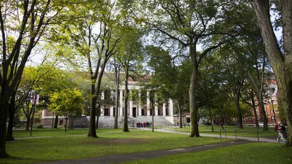 Palestinian Harvard student stopped at airport, denied entry to US