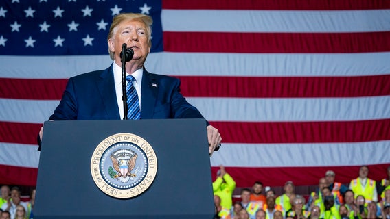 Trump revives suggestion of ending birthright citizenship