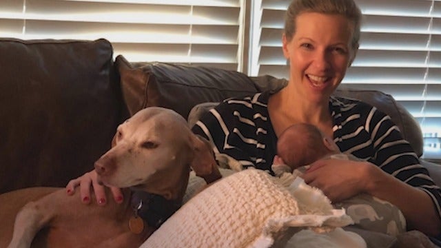 Community searches for lost dog after mother's sudden death