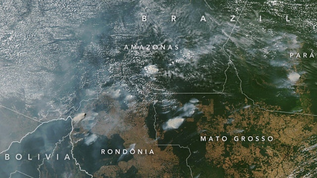 Brazil's Amazon rainforest ravaged by fire, smoke can be seen from space