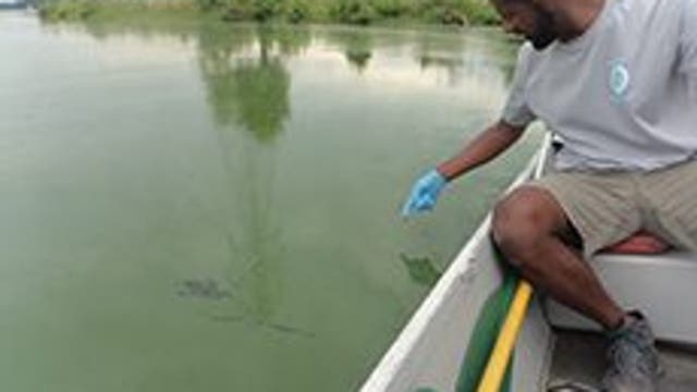 Officials issue advisories as toxic algae bloom endanger New Jersey lakes