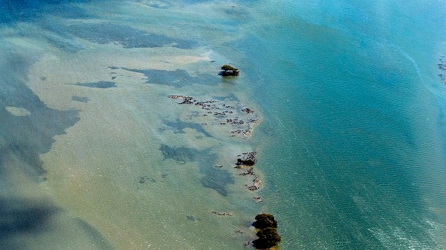 Australia lowers Great Barrier Reef outlook from 'poor' to 'very poor'