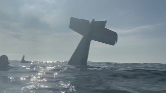 Details of pilot's criminal history and past stunts emerge following California bay crash