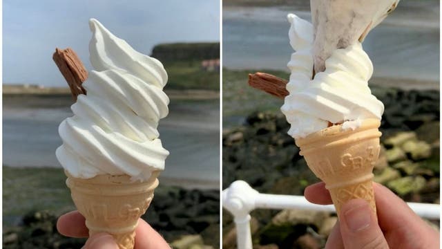 Man shocked as seagull steals his ice cream at beach, hilarious photos show