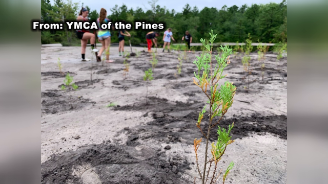 ATV riders destroy 400 trees planted by group of teens in N.J.