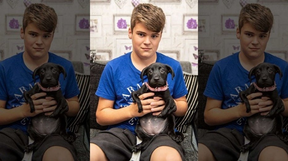 Roo, an eight-week-old Labrador-cross, with owner Luke. (SWNS)