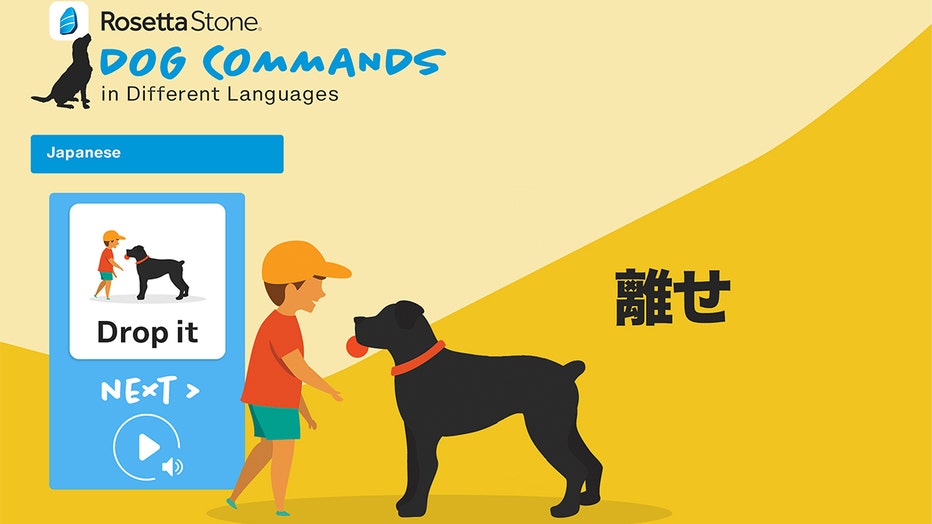 Rosetta Stone has created a language program to learn dog commands in 23 different languages.