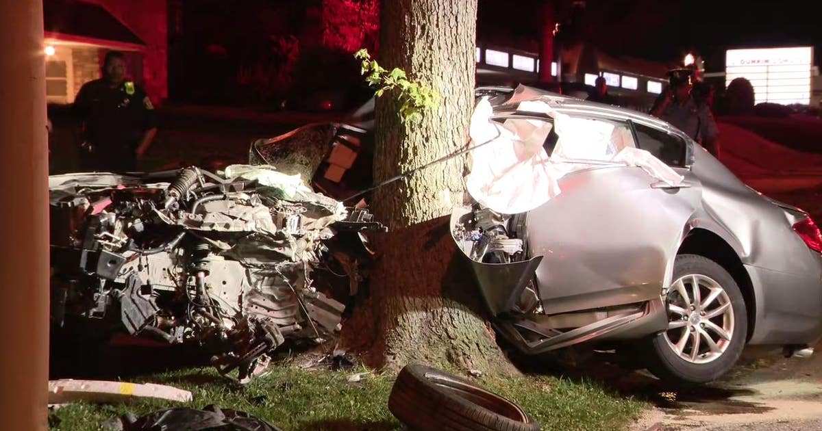 Off-duty police officer dies after crashing into tree in Northeast ...