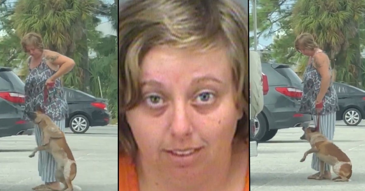 VIDEO: Florida woman arrested for kicking, pulling dog off the ground ...