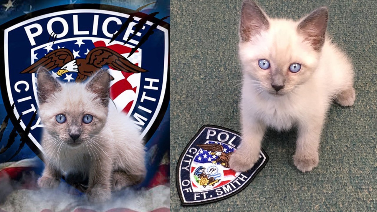 Pawfficer Fuzz stealing hearts from people in Fort Smith
