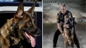 Evesham Township Police K-9 passes away after sudden illness