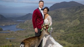 Newlyweds 'photobombed' by curious deer while posing in Killarney National Park