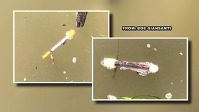 Syringe and blood-filled vial found found floating in Delaware River