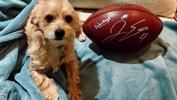 Eagles' Jake Elliott steps up to help 'underdogs' at ACCT Philly