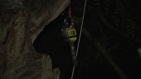 Man dies in tree-trimming accident while preparing for Dorian