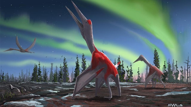 ‘Frozen Dragon of the North’: Scientists identify previously unknown species of giant flying reptile