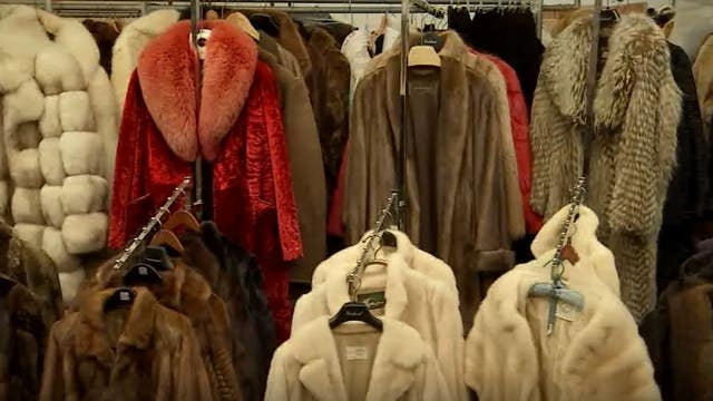 California becomes first state to ban fur trapping after Gov. Newsom signs law