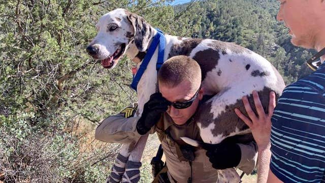 Crews rescue injured Great Dane from Arizona canyon