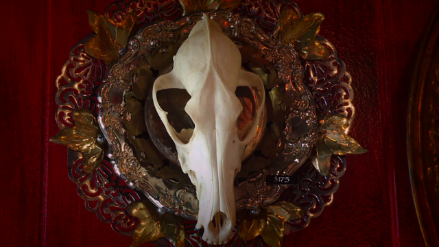 New Jersey artist takes creativity to next level