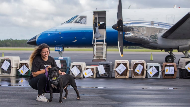 HSUS Hurricane Dorian Transport