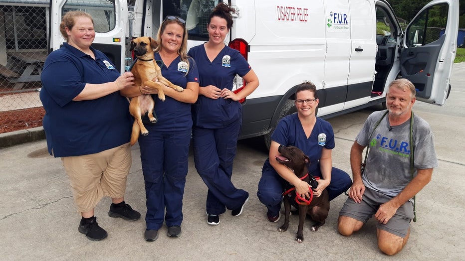 Clay County Animal Services Dorian Rescue