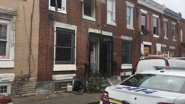 Police break up suspected cockfighting ring in Kensington; 43 roosters seized