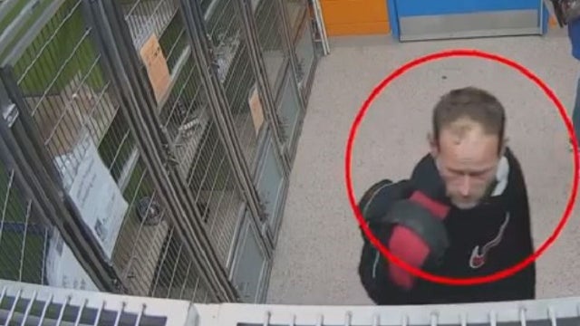 New video shows man wanted for allegedly stealing puppy from PSPCA; $1K reward offered