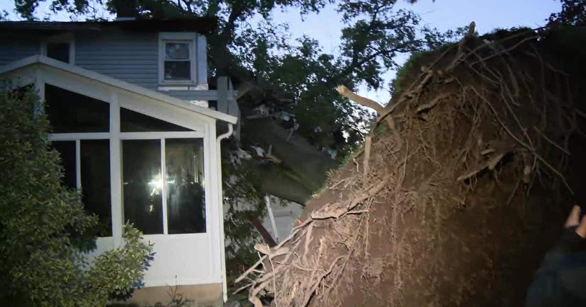 3 rescued after large tree crashes through Ambler home | FOX 29 ...