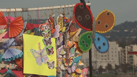 'Migration is beautiful': Bay Area butterfly project heads to Washington, D.C.