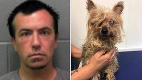 Man gets house arrest for abandoning blind, elderly Yorkie in cooler bag