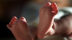 Florida investigators want to know who offered baby for sale online