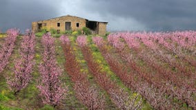 Another Italian town, Bivona, is selling homes that need repairs for $1