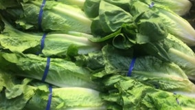 Target joins Walmart in tainted-lettuce recall as Thanksgiving nears
