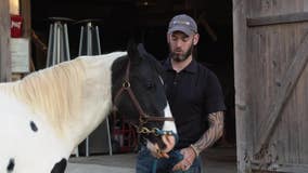 Equine-assisted therapy helps veterans transition to life after combat