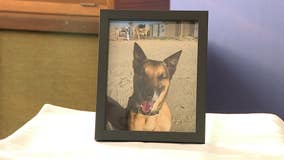 Military working dogs remembered at memorial service at Joint Base McGuire–Dix–Lakehurst