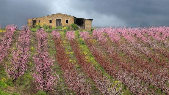 Another Italian town, Bivona, is selling homes that need repairs for $1