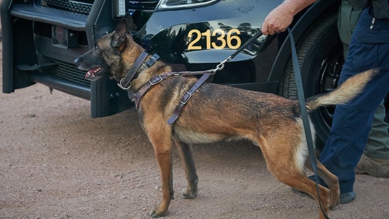 Police K-9, suspect killed in El Mirage officer-involved shooting