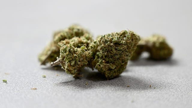 New Jersey lawmakers planning cannabis question for 2020 ballot