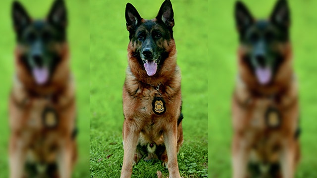 Ken Franklin, lauded K9 ranger, passes away after sudden illness in Old City