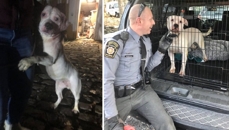 Sperenza Animal Rescue Pennsylvania State Police