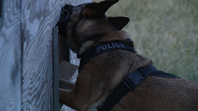 K9 praised for role in large Mercer County drug bust