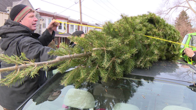 Norristown families given the gift of Christmas trees