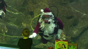 Scuba Santa brings underwater holiday cheer at Adventure Aquarium