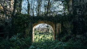 Own a portion of a French castle for just $55