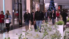 Holiday shoppers squeeze in last-minute purchases