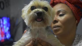 Newark woman says her SUV was stolen with beloved dog inside